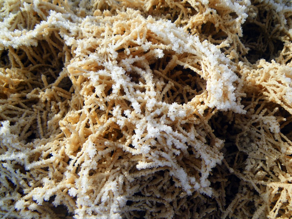 Salt crystals with ice crystals -Photo by Tim Giller