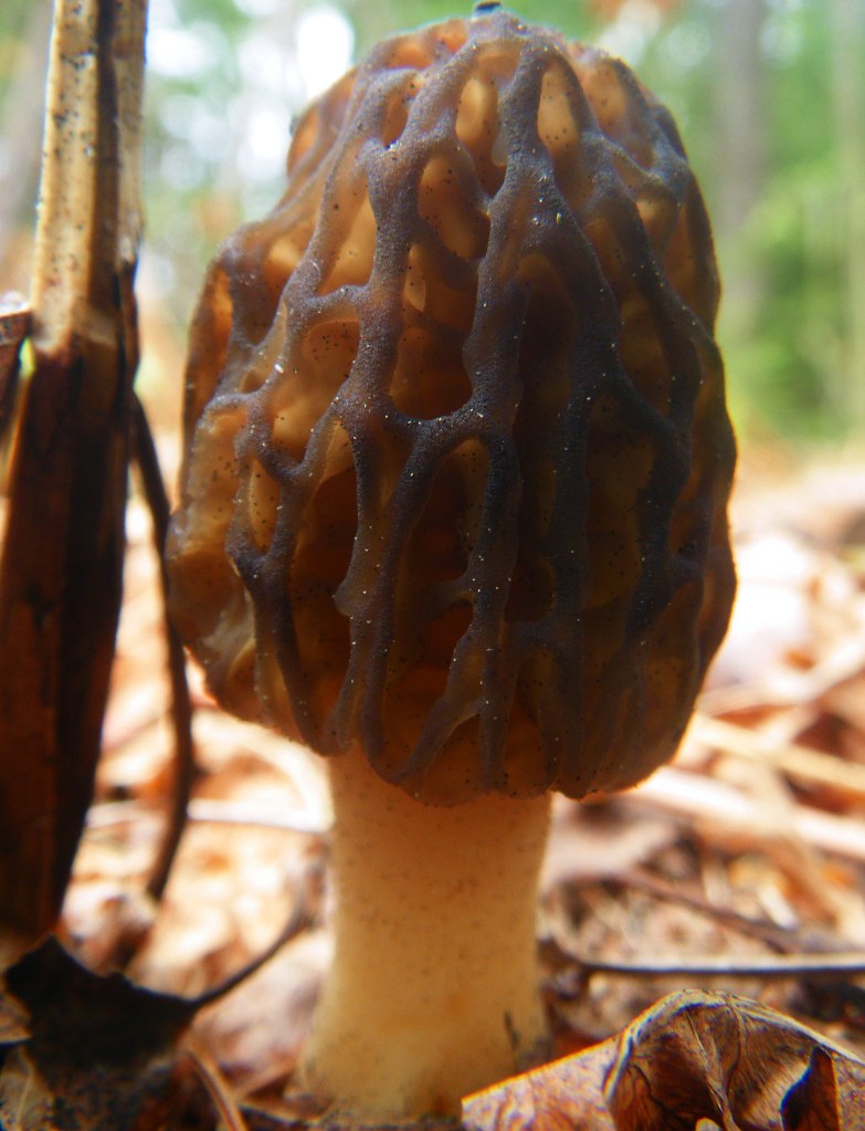  - Photo By TIm Giller