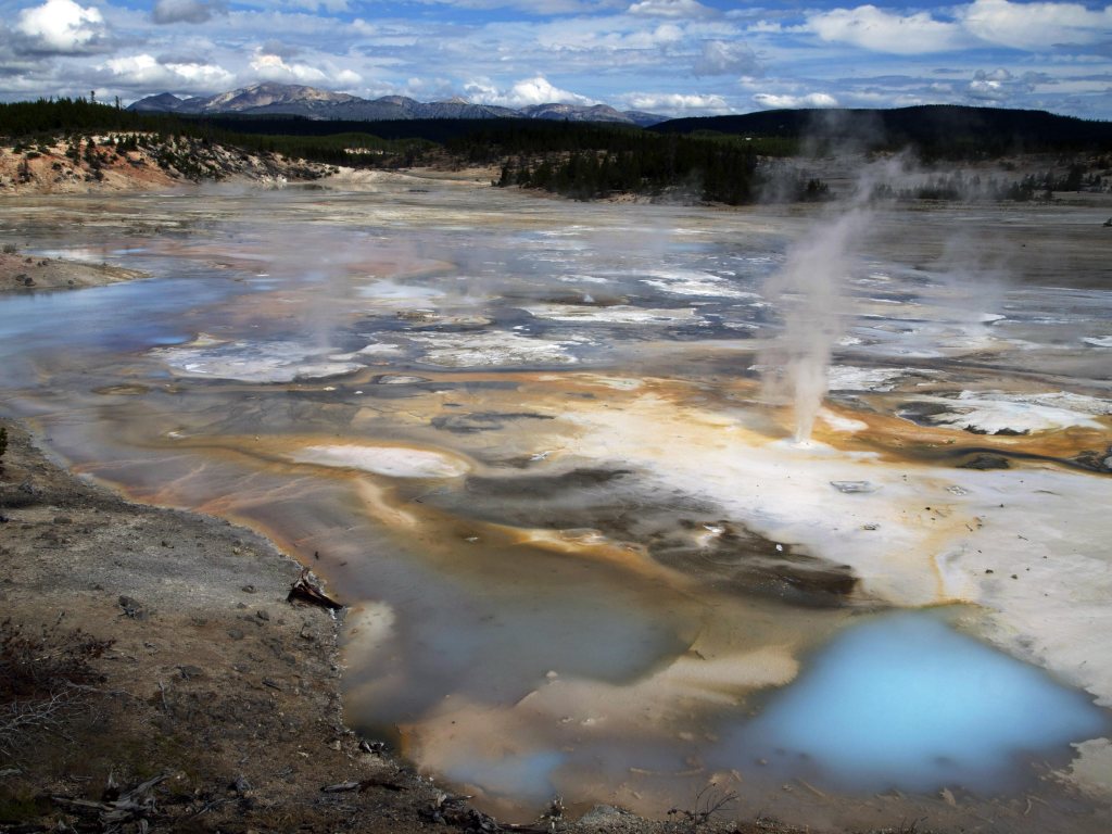Porcelain Basin, YNP - Photo by Tim Giller