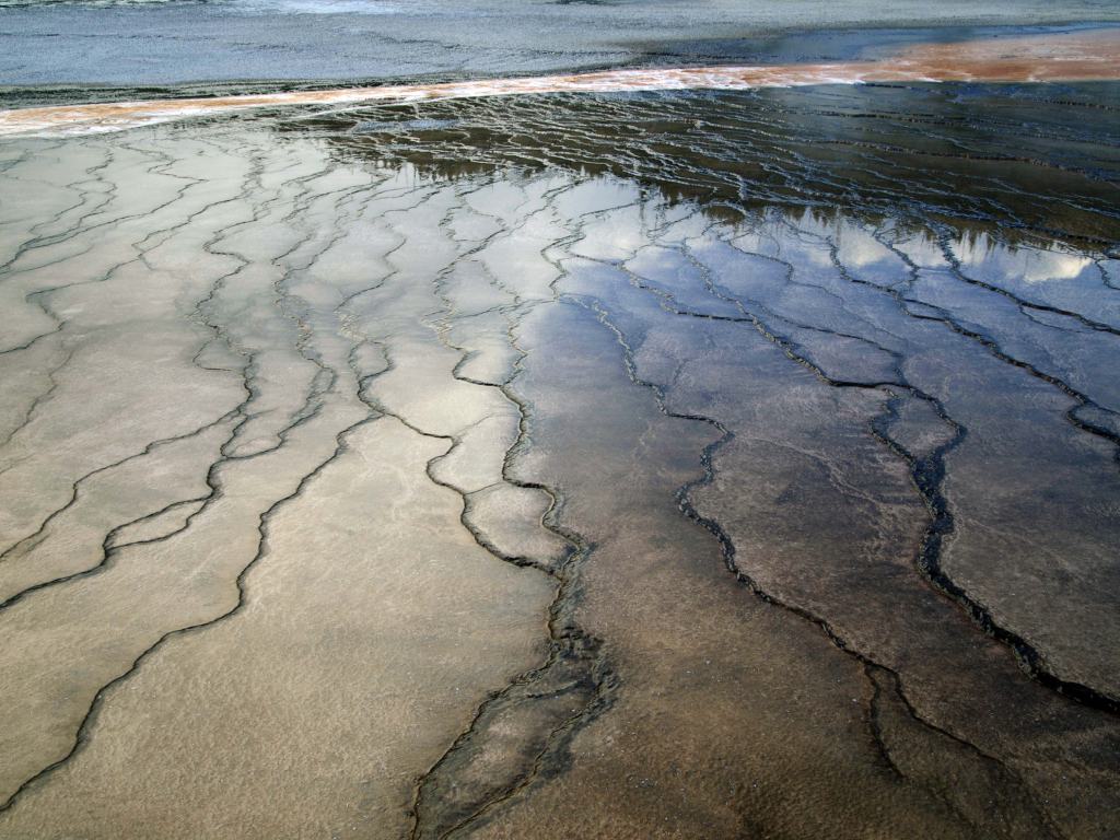 Hot Springs, YNP - Photo by Tim GIller