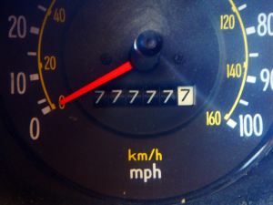 Lil' Squatch hit the Jackpot near the Alaskan border. 