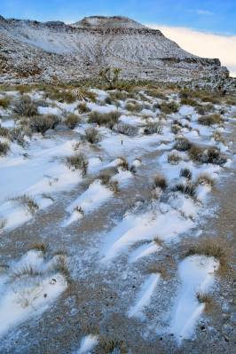 Barber Peak, Mojave National Preserve - Photo by Tim Giller