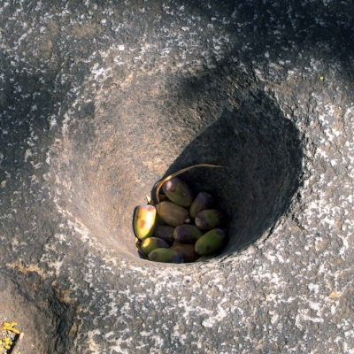 Native Patwisha Grinding Rock