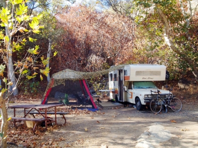 Lil' Squatch in Cricket Hollow