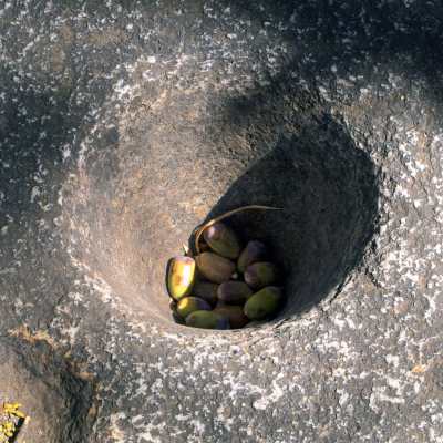 Native Patwisha Grinding Rock