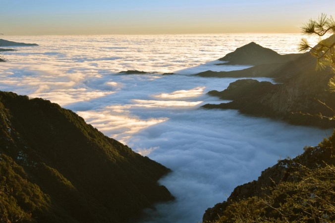 Tule Fog from above. Photo: Tim Giller