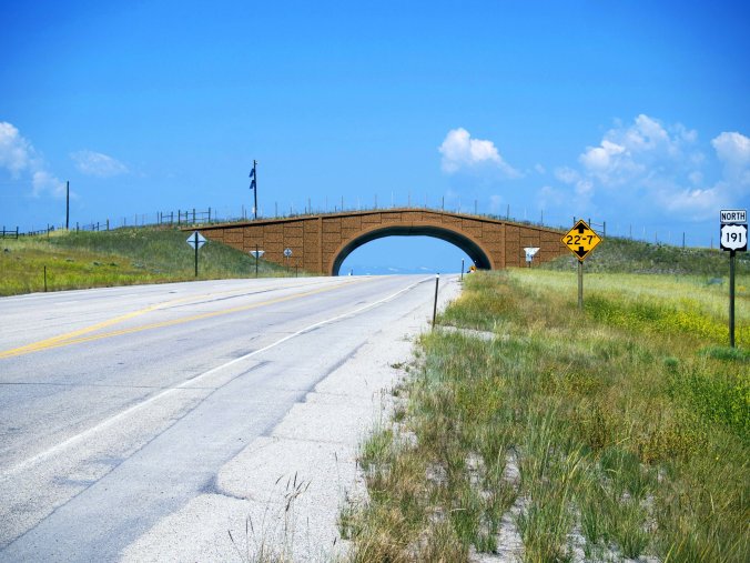 Pronghorn Overpass, WY - Photo by Tim Giller