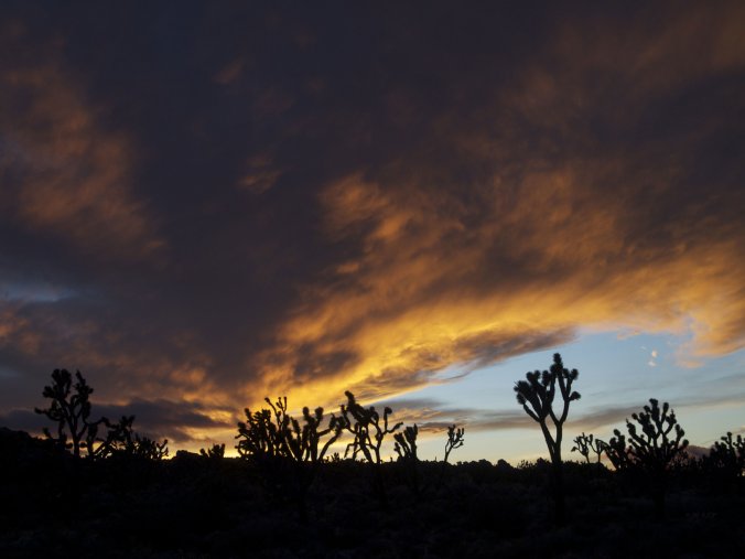 Teutonia Peak, Mojave National Preserve - Photo by Tim Giller