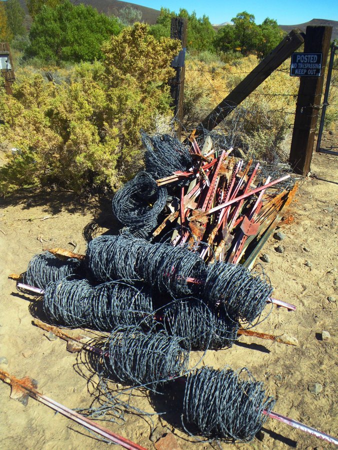 Barbed wire removal, NV - Photo by Tim Giller