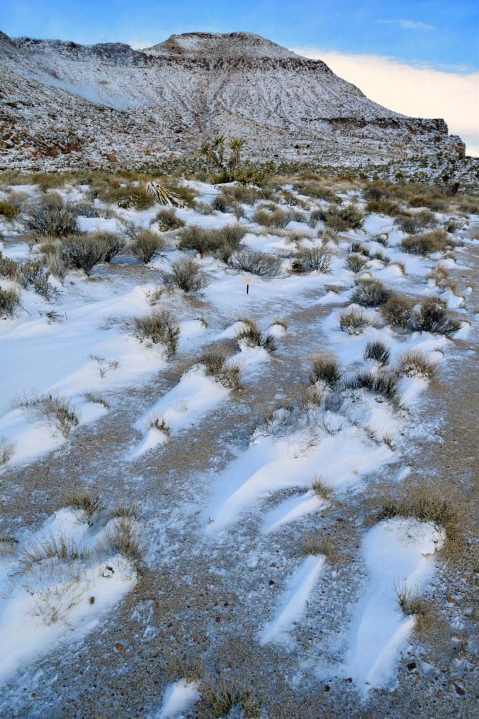 Barber Peak, Mojave National Preserve - Photo by Tim Giller