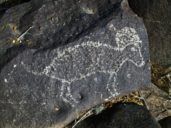 Three Rivers Petroglyph Site -Photo by TIm Giller