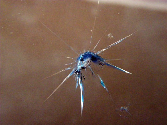 Squatch's windshield - Photo by Tim Giller