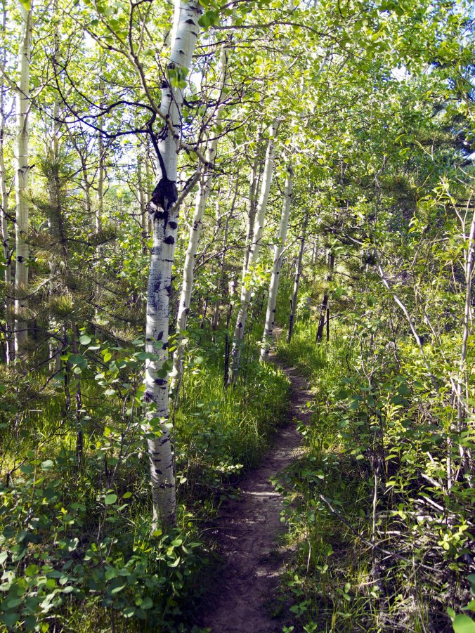 Nederland, Co - Photo by Tim Giller