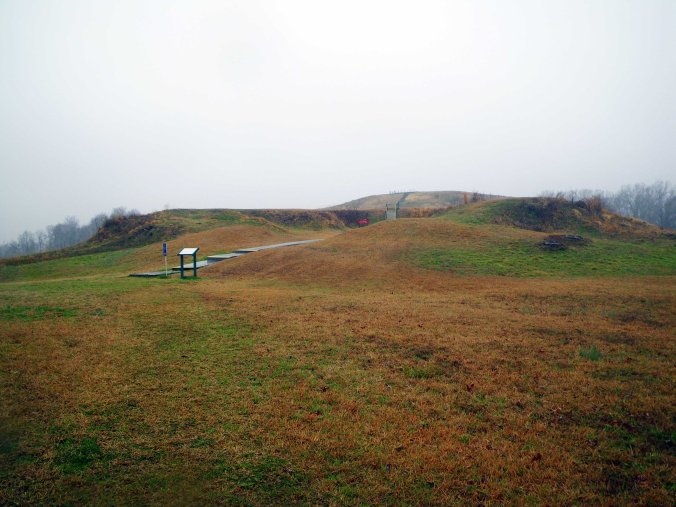 Poverty Point - Photo by Tim Giller